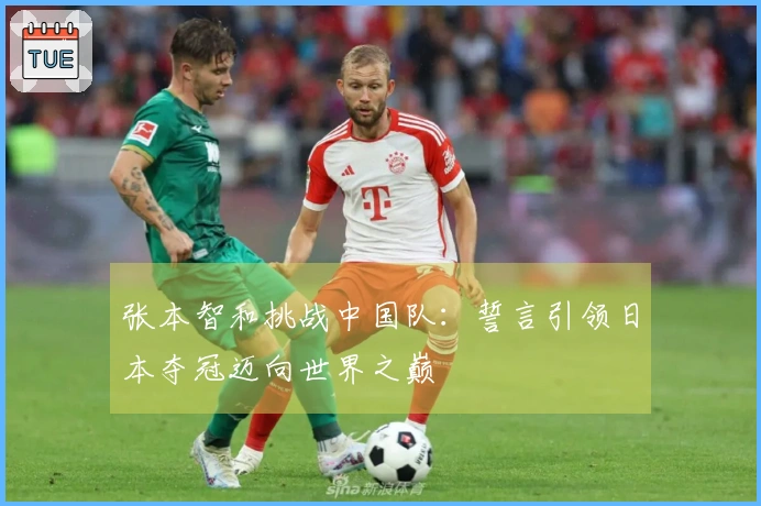 张本智和挑战中国队：誓言引领日本夺冠迈向世界之巅