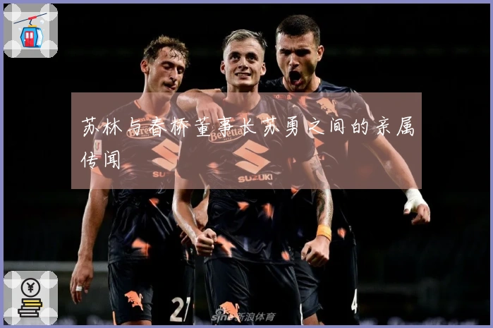 苏林与春桥董事长苏勇之间的亲属传闻